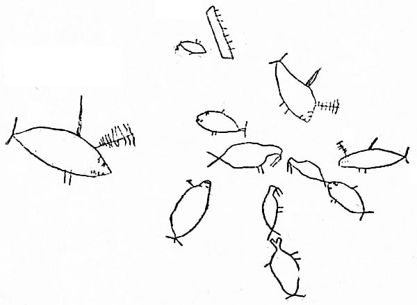 Рисунок, изображающий охоту касаток